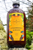 Six Barrel Soda - Strawberry & Ginger Syrup